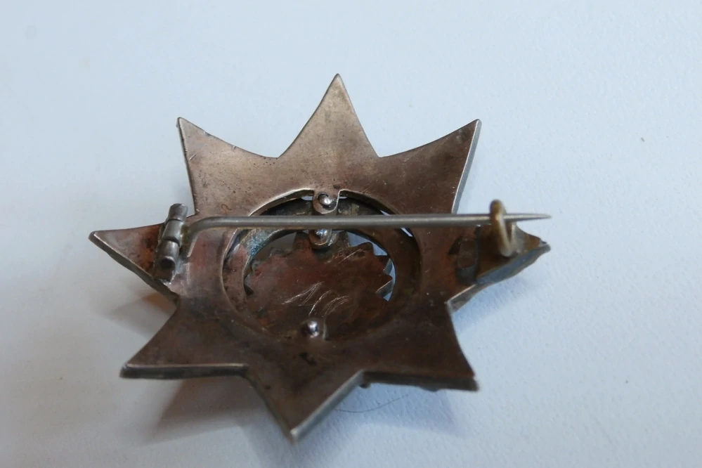 Starožitná brož s českými granáty