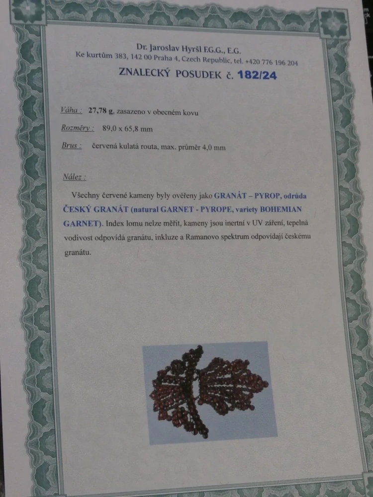 Bidermaier obrovská brož cca 9 x 6 cm s českými granáty etue + posudek